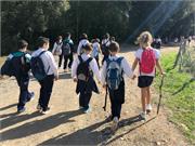 IMG-20191104-WA0032
